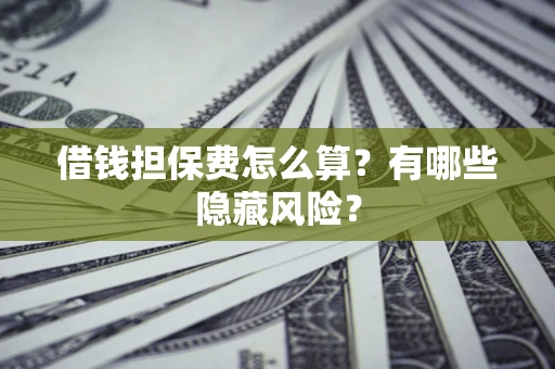 武汉借钱担保费怎么算？有哪些隐藏风险？