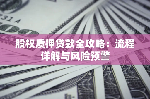 武汉股权质押贷款全攻略：流程详解与风险预警