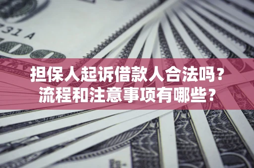 武汉担保人起诉借款人合法吗？流程和注意事项有哪些？