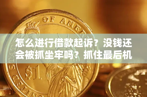 武汉怎么进行借款起诉？没钱还会被抓坐牢吗？抓住最后机会！
