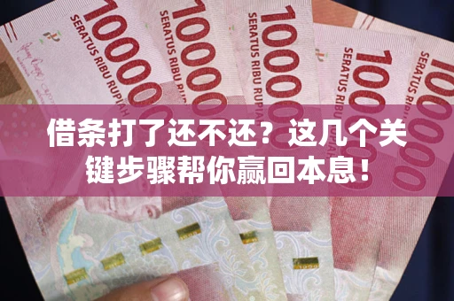 武汉借条打了还不还？这几个关键步骤帮你赢回本息！