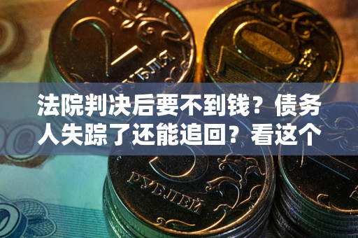 武汉法院判决后要不到钱？债务人失踪了还能追回？看这个方法！