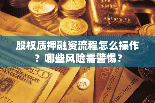武汉股权质押融资流程怎么操作？哪些风险需警惕？