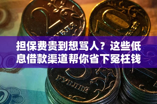 武汉担保费贵到想骂人？这些低息借款渠道帮你省下冤枉钱