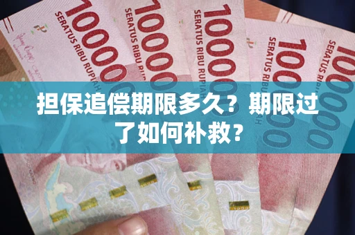 武汉担保追偿期限多久？期限过了如何补救？