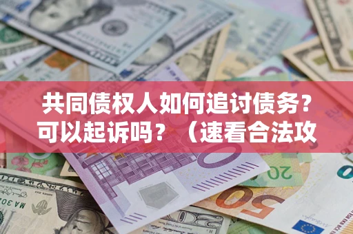 武汉共同债权人如何追讨债务？可以起诉吗？（速看合法攻略）