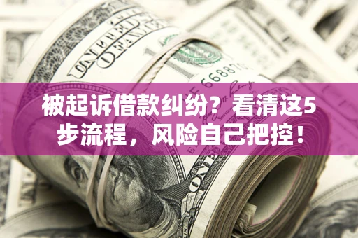 武汉被起诉借款纠纷？看清这5步流程，风险自己把控！
