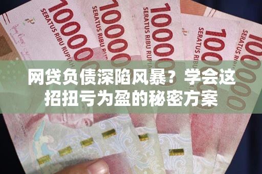 武汉网贷负债深陷风暴？学会这招扭亏为盈的秘密方案