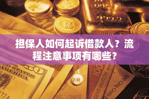 武汉担保人如何起诉借款人？流程注意事项有哪些？